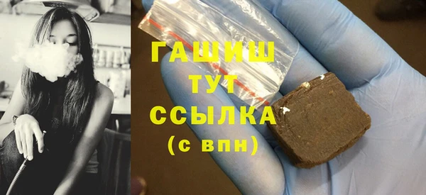 индика Богородицк