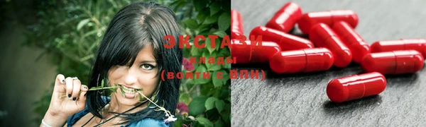 индика Богородицк