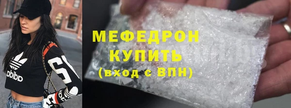 индика Богородицк