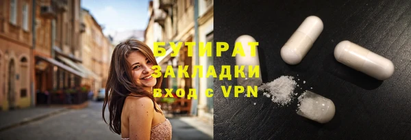 индика Богородицк