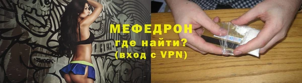 индика Богородицк