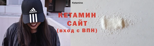 индика Богородицк
