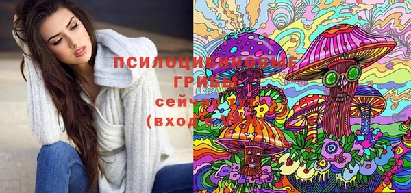 индика Богородицк