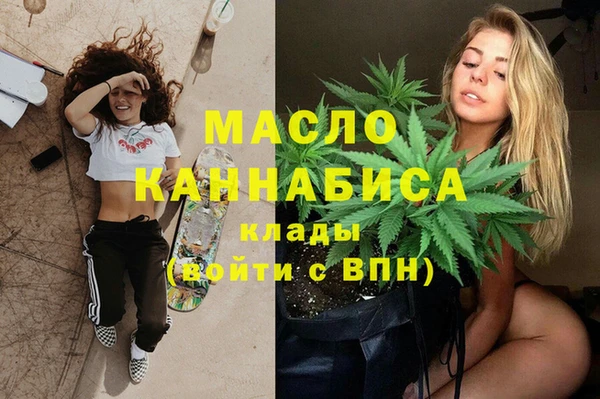 индика Богородицк