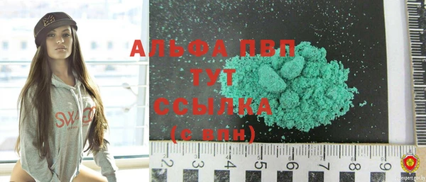 индика Богородицк