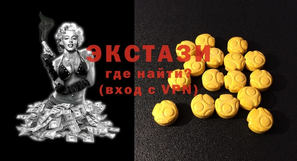 индика Богородицк
