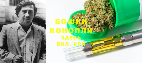 индика Богородицк