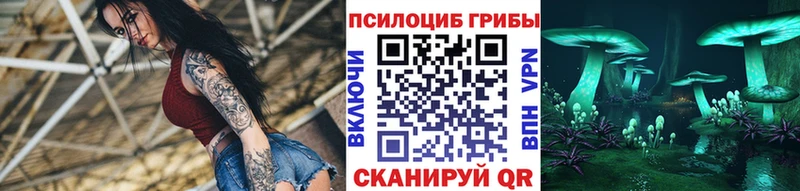 Купить где  Борзя  Псилоцибиновые грибы Psilocybine cubensis 
