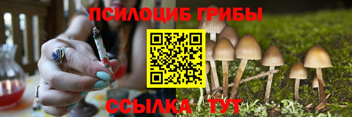 Псилоцибиновые грибы мухоморы  Борзя  Псилоцибиновые грибы MAGIC MUSHROOMS 