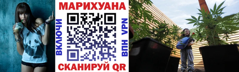 Купить где  Борзя  Каннабис гибрид 